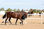 SBM_17679