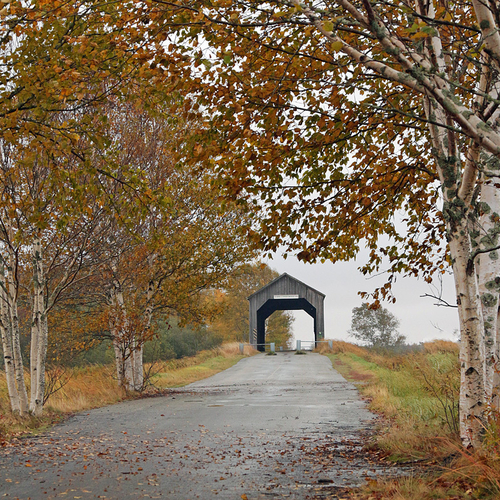 Sawmill Creek Covered Bridge Albert County New Brunswick Canada