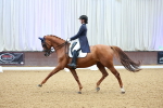 SBM_007244