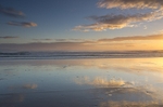 Te Arai Point sunrise glow