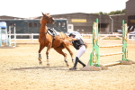 SBM_000912