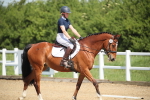 SBM_008034