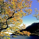 Lakeland autumn