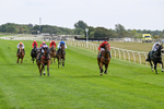 260826-Race 1-Mugheer-2119
