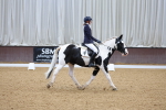 SBM_002604