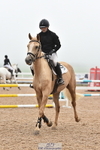 80cm Classes 5a 5b & 6 portfolio
