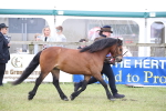 SBM_09744