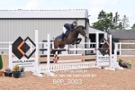 BPP_3003