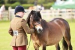 SBM_00647