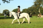 SBM_59170