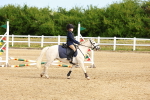 SBM_006560
