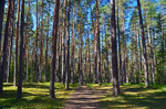 Taevaskoja, Estonia