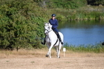 WJ6_6804