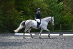 WJ5_9593