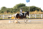 SBM_006993