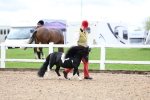 SBM_00251