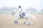 SBM_001040