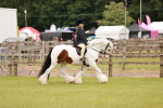 SBM_06232