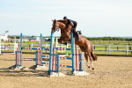 SBM_003277