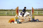 SBM_000173