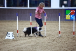 SBM_006503