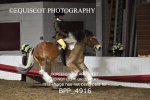 BPP_4916