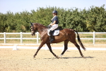 SBM_006522