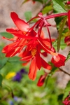 KG0058