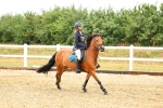 SBM_000695