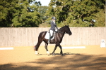 SBM_18333