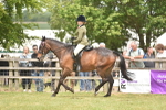 SBM_15964