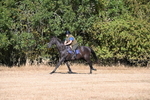 WJ6_6782