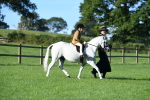SBM_35369