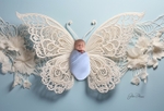 boho butterflies_131