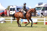 Rising Star Ridden Championship portfolio
