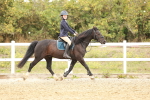 SBM_007401