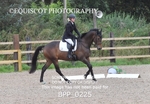 BPP_0225