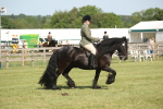 SBM_09562
