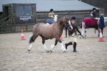 SBM_006168