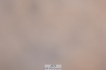 250125-103257-00202