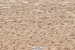 240720A-154748-15356