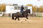 SBM_001022