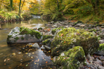 Afon Mellte Leaf Swirl