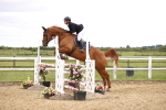 SBM_007719