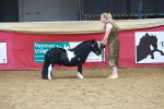 SBM_16562