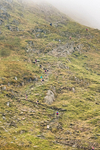 Peris Horseshoe-142