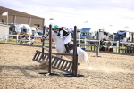SBM_003567