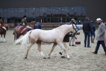 SBM_007267