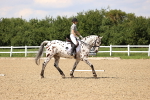 SBM_002051