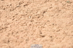 230811A-130120-05029
